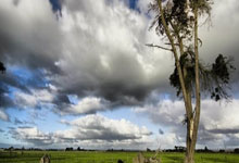 HUPU-关于NBA常规赛倒计时，广州队赛后篮板制胜，细节引发关注，话题不断，赛程密集仍需轮换的信息