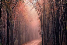 HUPU-TheShy赛事官方发布出色防守新规,DWG争议不断!的简单介绍